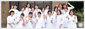 女性医師等 教育・支援部門